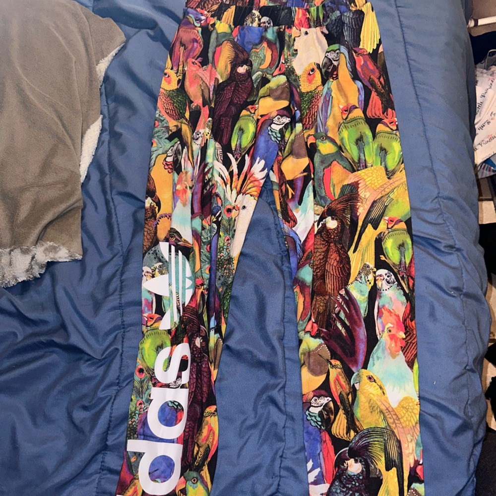 Adidas parrot leggings